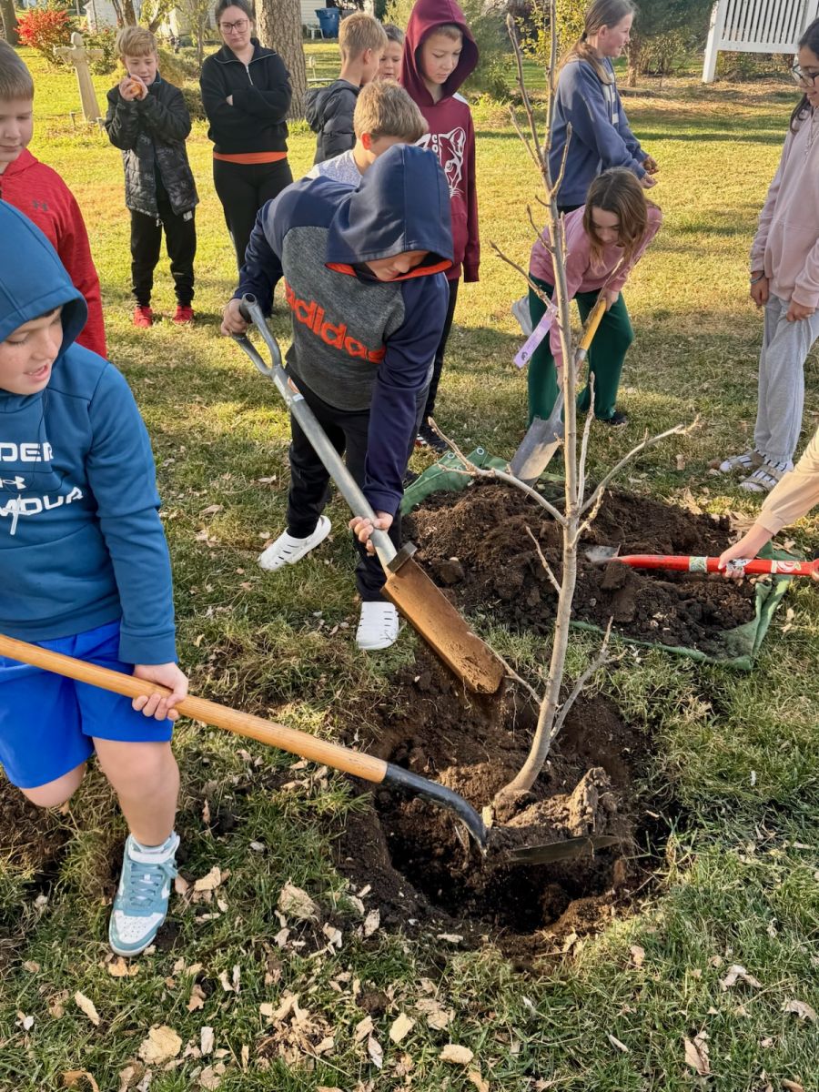 Arbor Day Celebration