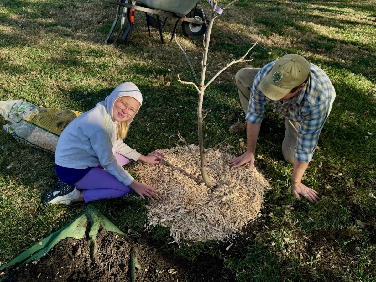 Arbor Day Celebration